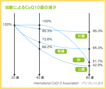 加齢によるCoq10の減少