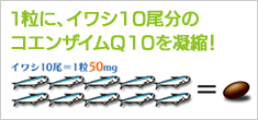 1枚に、イワシ10尾分のコエンザイムQ10