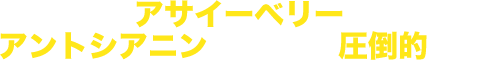 アサイーベリーの圧倒的な実力